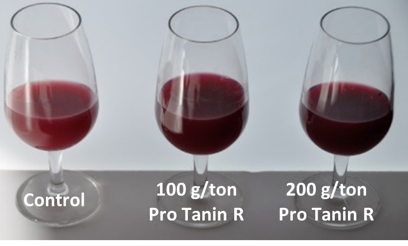 Effect of Pro Tanin R, added on grapes, on color intensity