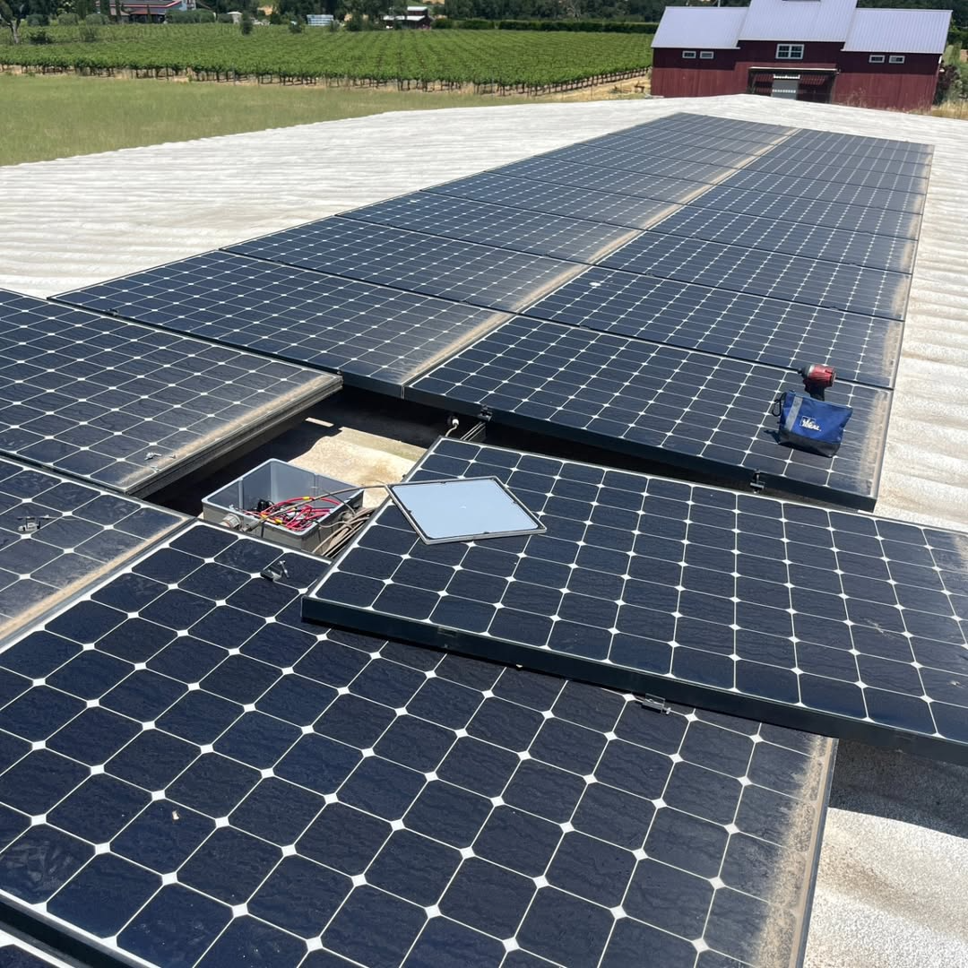 May be an image of text