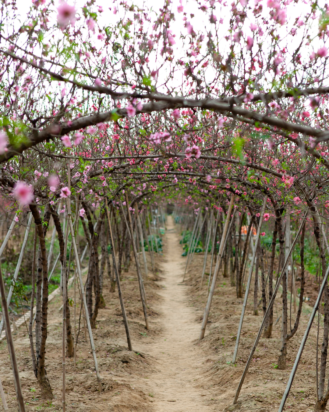 Preparing Irrigation for the Season Ahead