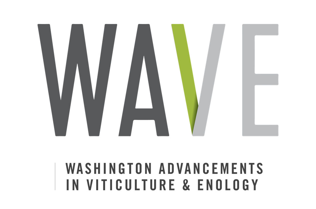 2025 WAVE: Sustainability in Action