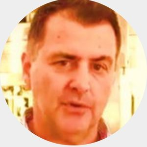 Vincenzo Gerbi - University of Turin