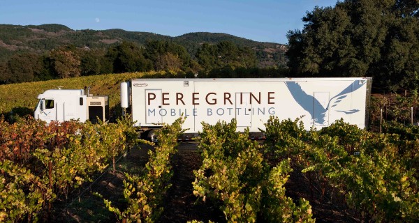 Peregrine Vintner Solutions: Concierge-Level Support, Tailored for Every Winery