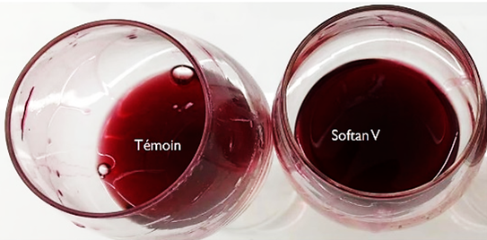 Effect of Softan Vinification, added during fermentation, at 180 g/ton, on color