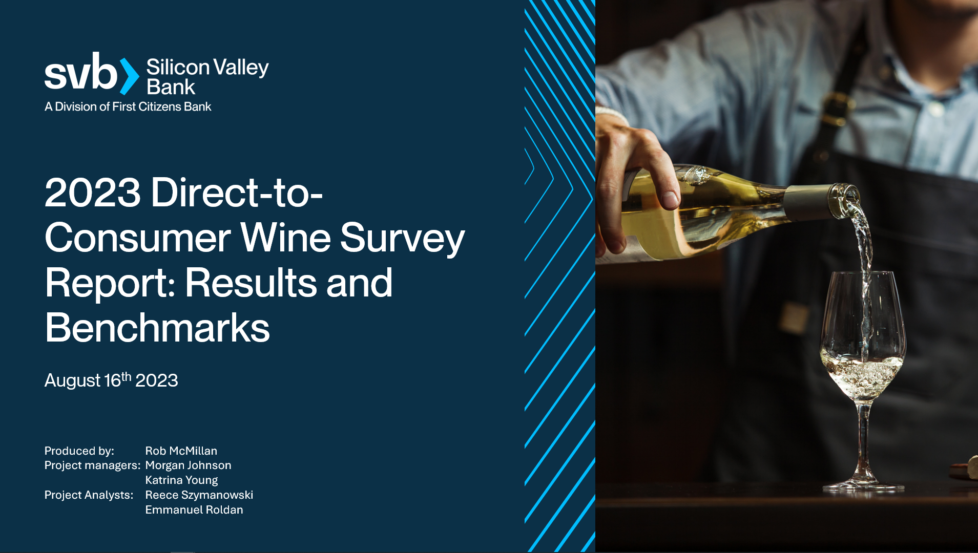 2023 SVB DTC Video Replay, and DTC Report