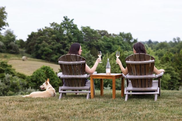 Early Mountain Vineyards